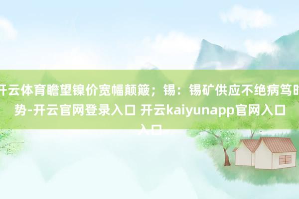开云体育瞻望镍价宽幅颠簸；锡：锡矿供应不绝病笃时势-开云官网登录入口 开云kaiyunapp官网入口