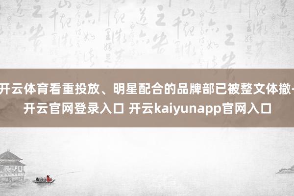 开云体育看重投放、明星配合的品牌部已被整文体撤-开云官网登录入口 开云kaiyunapp官网入口