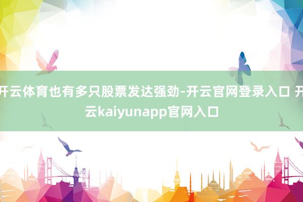 开云体育也有多只股票发达强劲-开云官网登录入口 开云kaiyunapp官网入口
