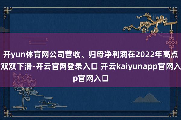 开yun体育网公司营收、归母净利润在2022年高点后双双下滑-开云官网登录入口 开云kaiyunapp官网入口
