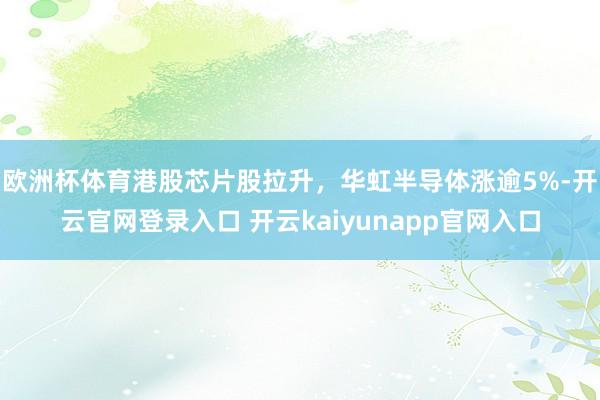 欧洲杯体育港股芯片股拉升，华虹半导体涨逾5%-开云官网登录入口 开云kaiyunapp官网入口