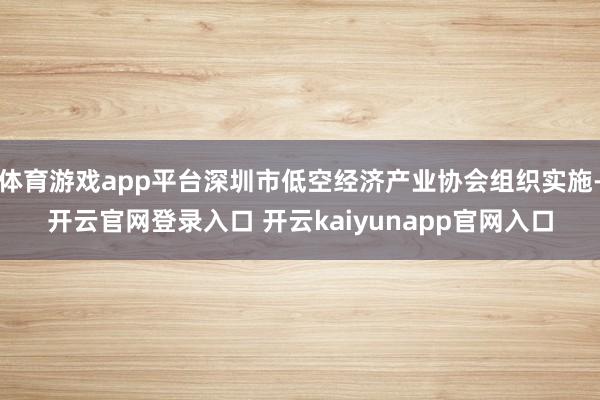 体育游戏app平台深圳市低空经济产业协会组织实施-开云官网登录入口 开云kaiyunapp官网入口
