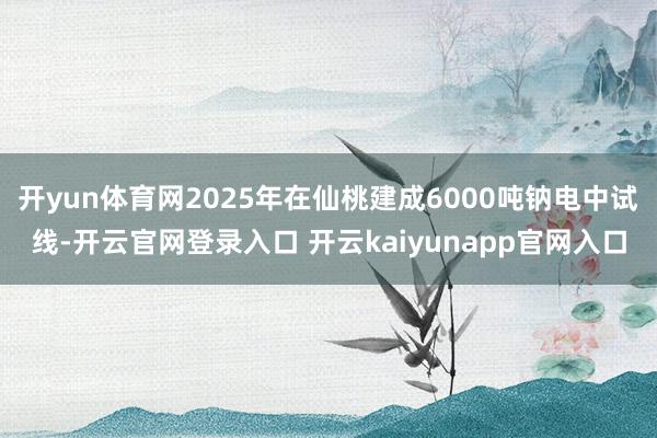 开yun体育网2025年在仙桃建成6000吨钠电中试线-开云官网登录入口 开云kaiyunapp官网入口