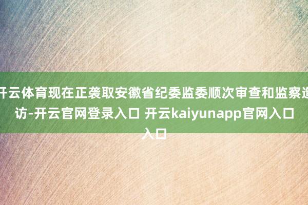 开云体育现在正袭取安徽省纪委监委顺次审查和监察造访-开云官网登录入口 开云kaiyunapp官网入口