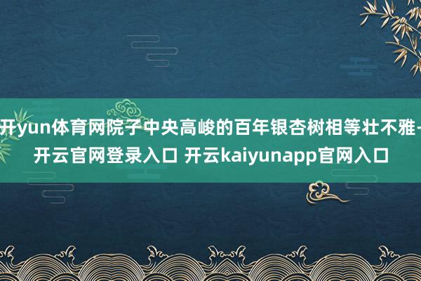 开yun体育网院子中央高峻的百年银杏树相等壮不雅-开云官网登录入口 开云kaiyunapp官网入口