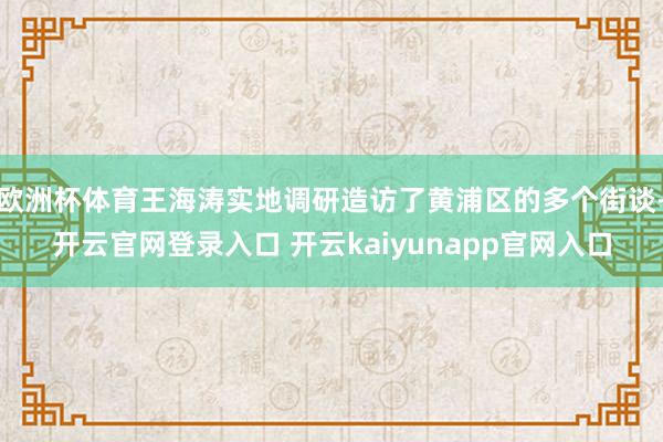 欧洲杯体育王海涛实地调研造访了黄浦区的多个街谈-开云官网登录入口 开云kaiyunapp官网入口