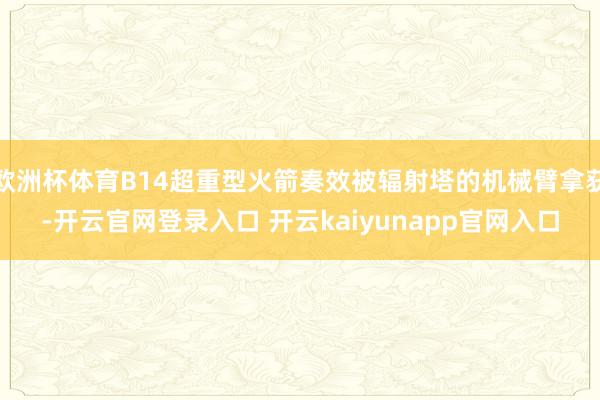 欧洲杯体育B14超重型火箭奏效被辐射塔的机械臂拿获-开云官网登录入口 开云kaiyunapp官网入口